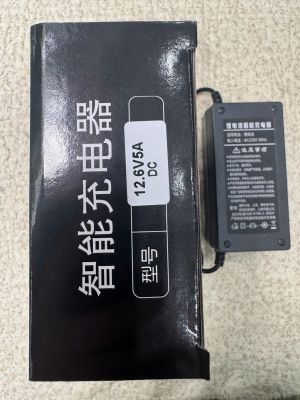 Bộ Sạc Yiling Hệ 3S -12.6V 5A